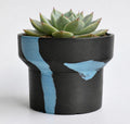Modern Medium Planter Pot