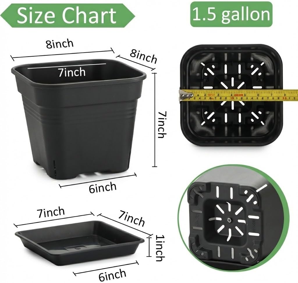 8 Inch Square Planters 6 Pack