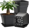 8 Inch Square Planters 6 Pack