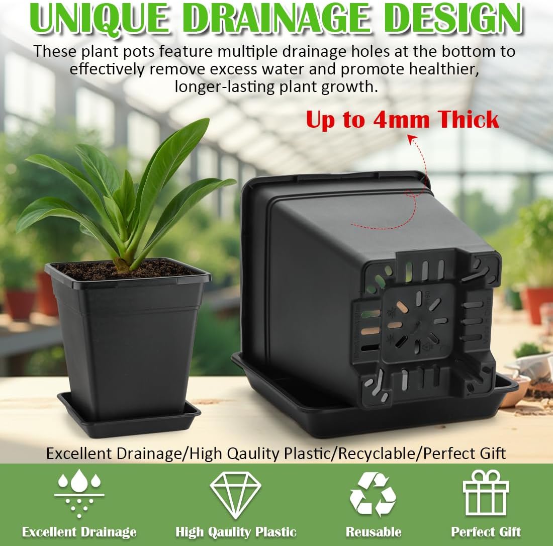 6 Inch Square Plant Pots 10 Pack
