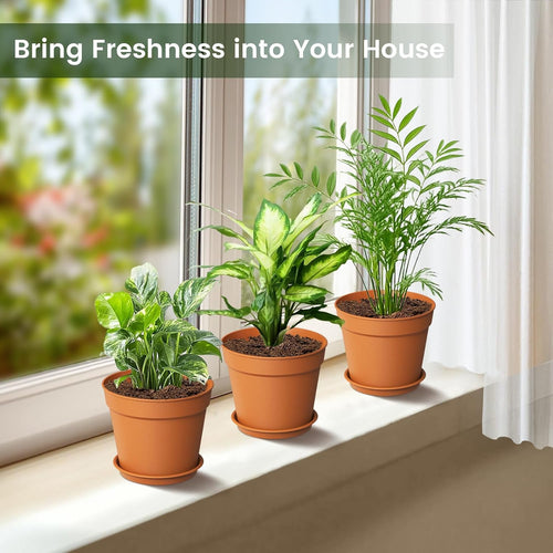 10 Pack 6 Inch Plant Pots Terracotta