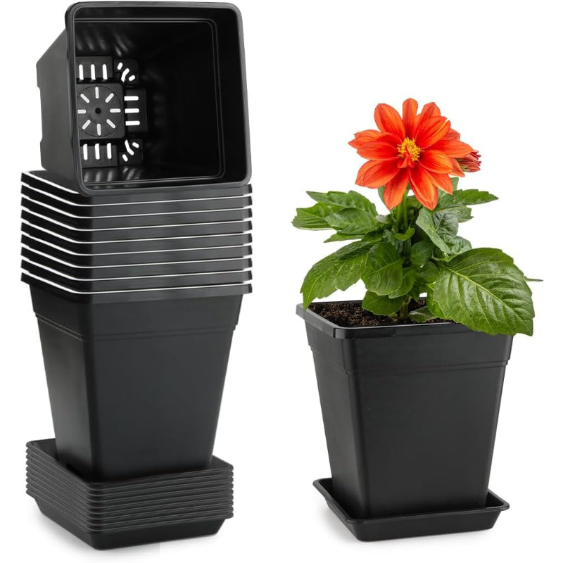 6 Inch Square Plant Pots 10 Pack